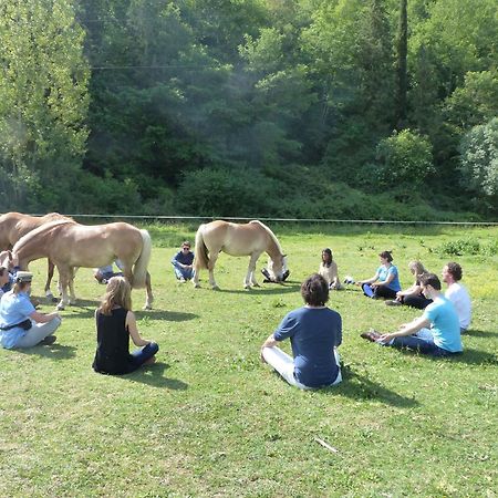 La Casella Antico Feudo Di Campagna Ficulle Extérieur photo