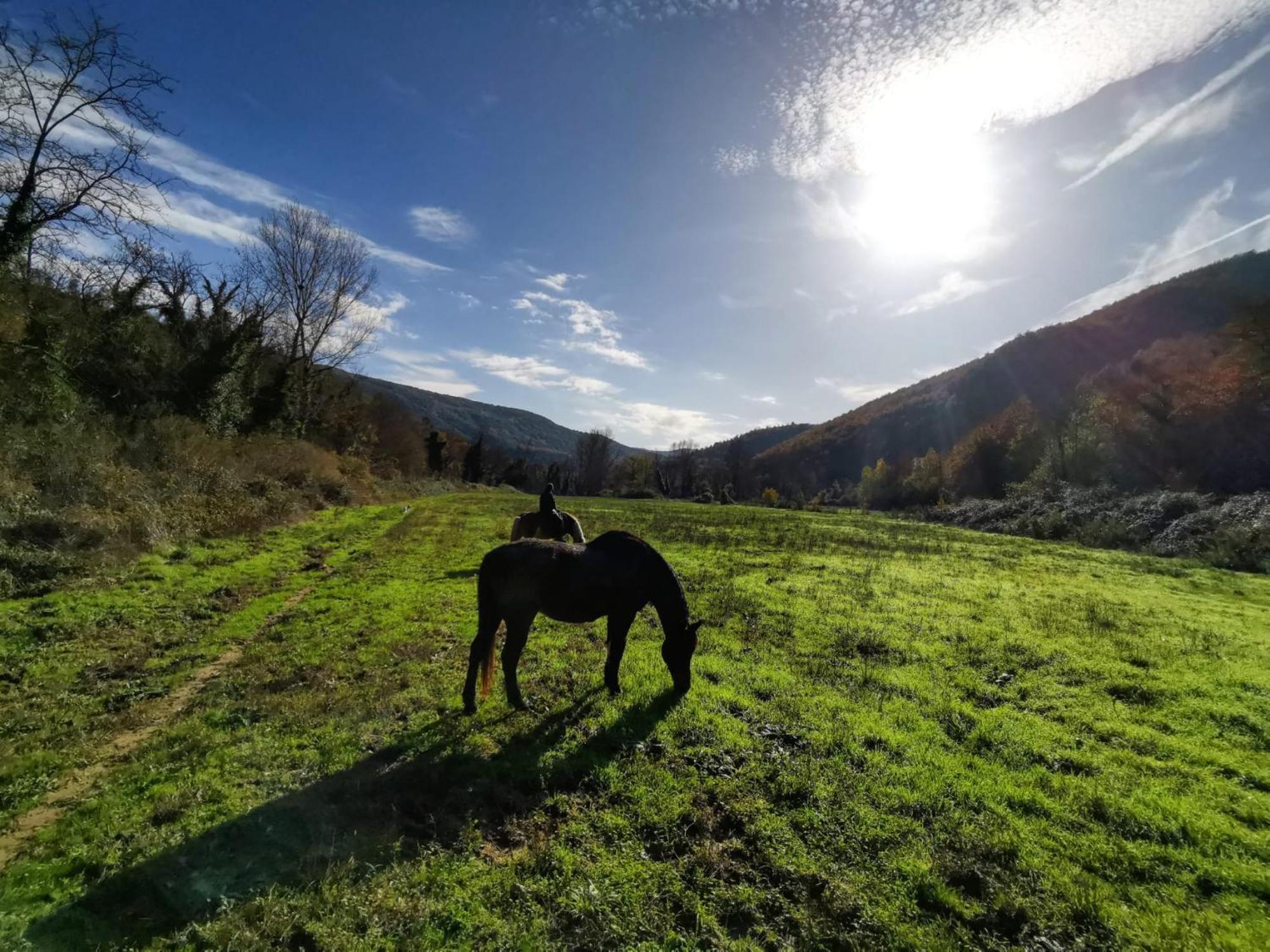 La Casella Antico Feudo Di Campagna Ficulle Extérieur photo