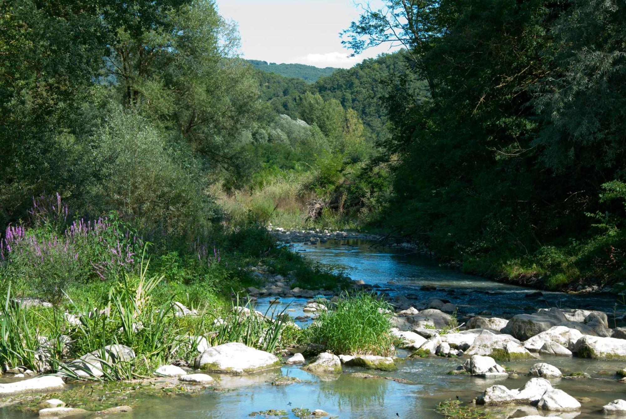 La Casella Antico Feudo Di Campagna Ficulle Extérieur photo