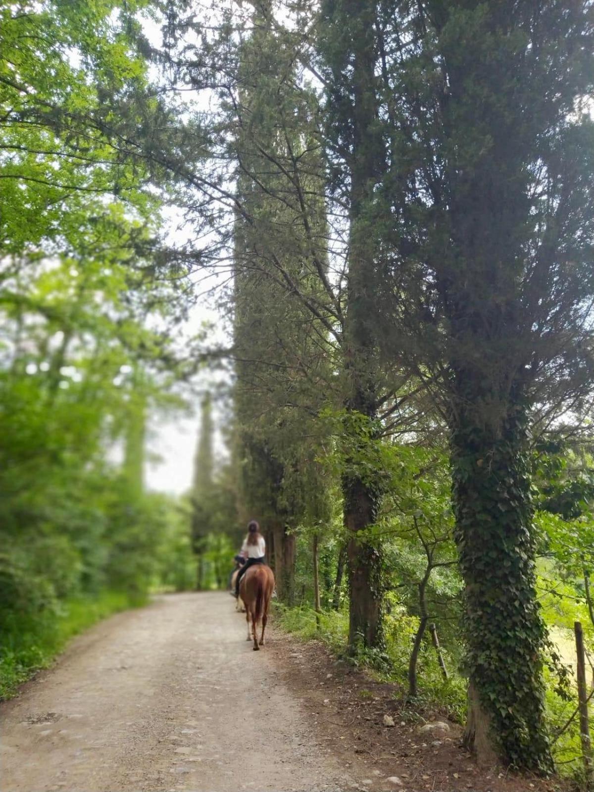 La Casella Antico Feudo Di Campagna Ficulle Extérieur photo