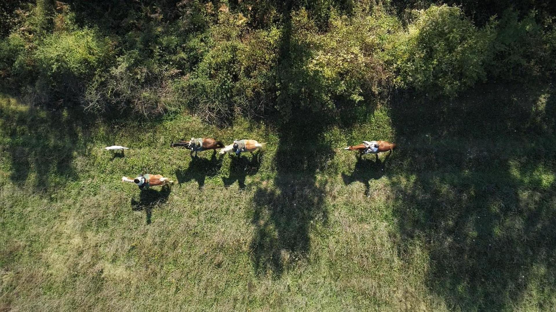 La Casella Antico Feudo Di Campagna Ficulle Extérieur photo