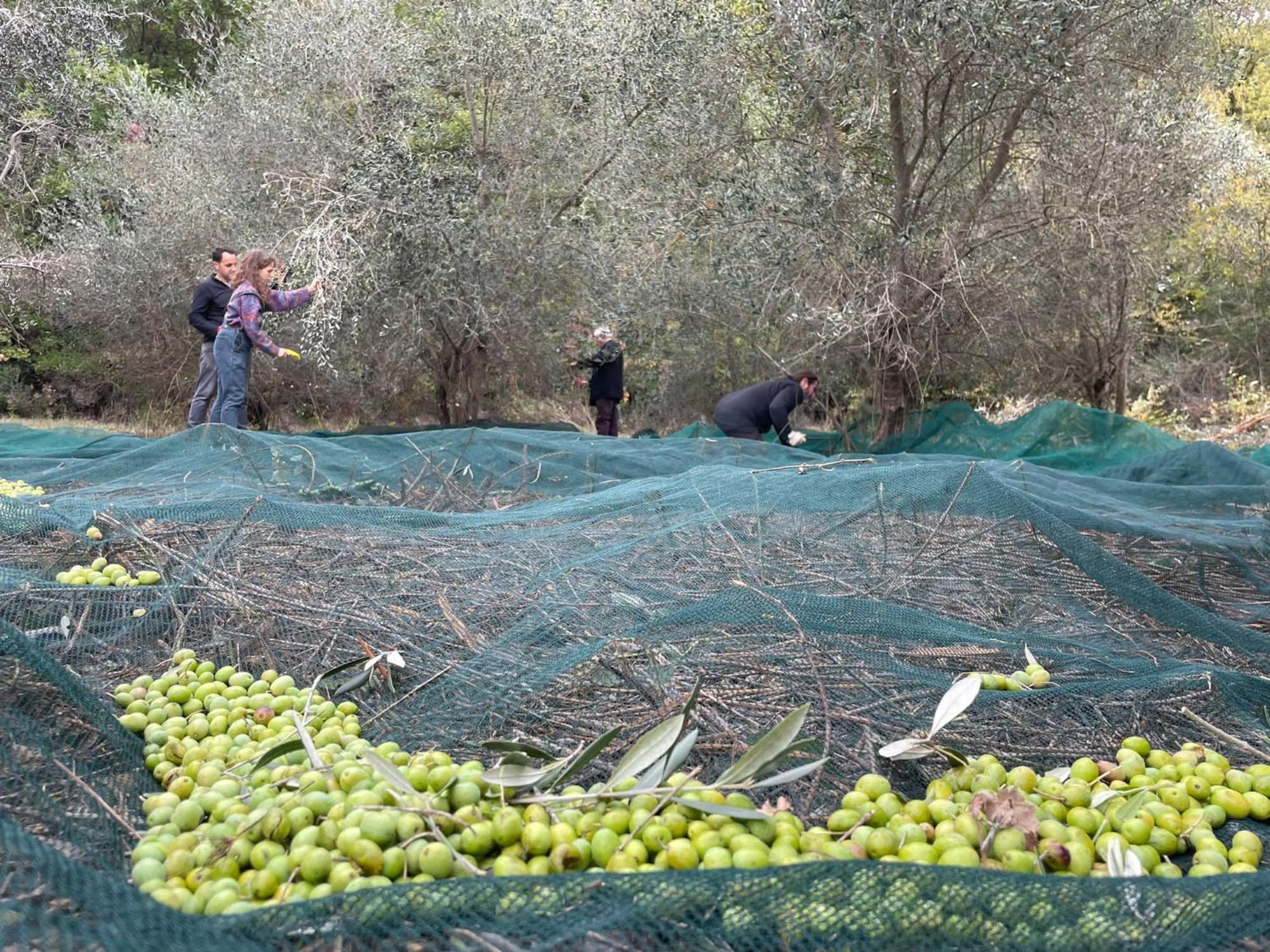 La Casella Antico Feudo Di Campagna Ficulle Extérieur photo